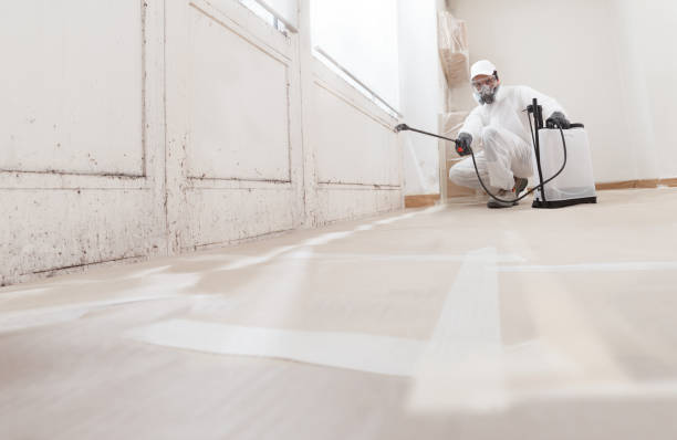 24/7 Emergency Mold Remediation experts in Bowie, TX