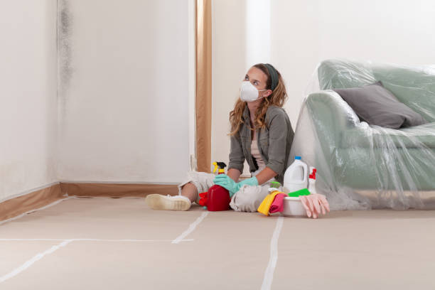 Reliable Mold Remediation contractor in Bowie, TX by Car Mold Remediation
